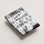 BLESSED BUT NOT BROKEN – PREMIUM ŠTAMPA- Manifest Otpornosti – prikaz 4